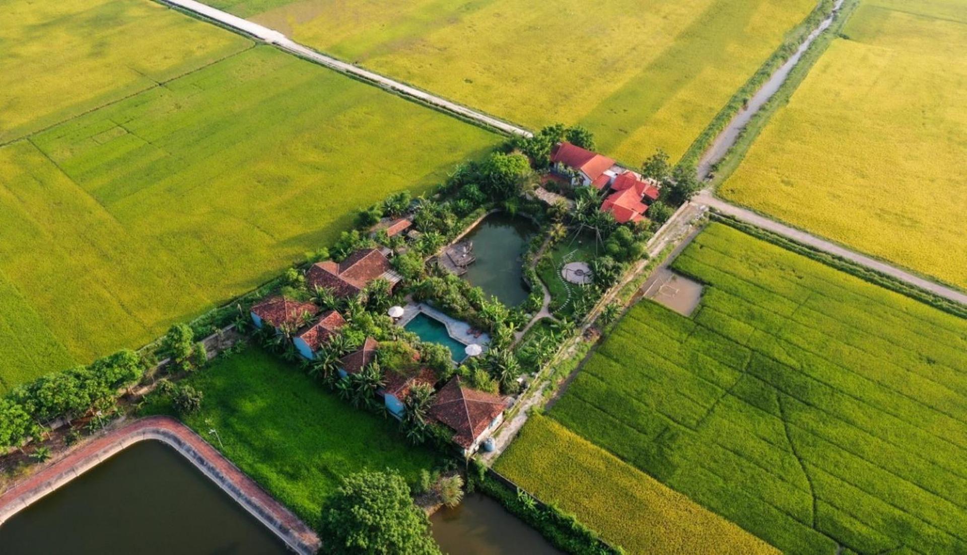 Chezcao Rice Field Ecolodge Νιν Μπιν Εξωτερικό φωτογραφία